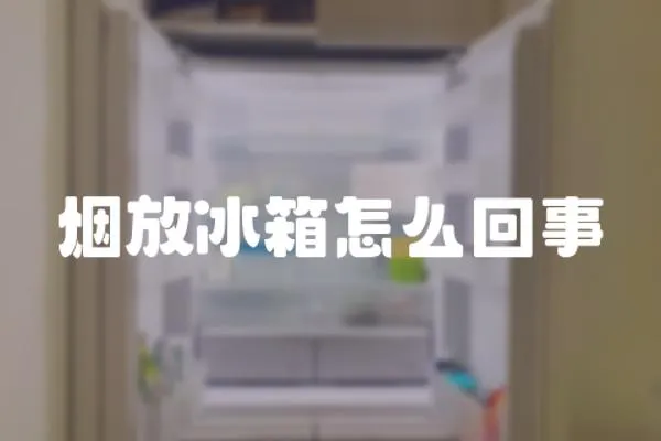 煙放冰箱怎么回事