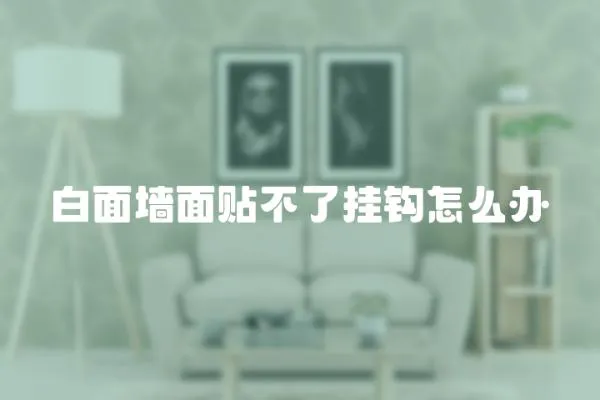 白面墻面貼不了掛鉤怎么辦