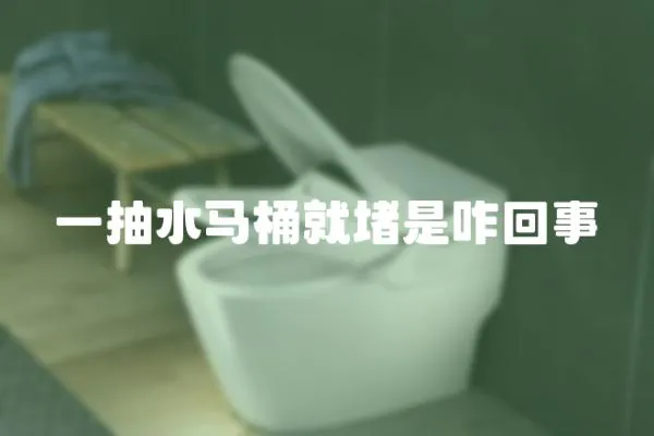 一抽水馬桶就堵是咋回事
