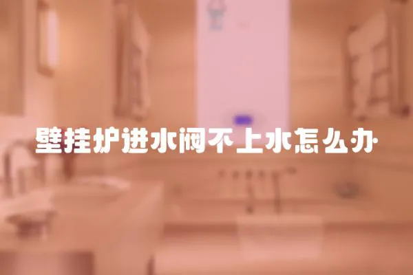 壁掛爐進水閥不上水怎么辦