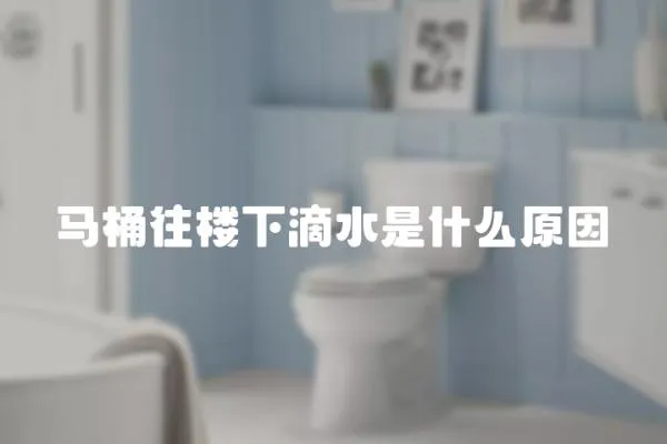 馬桶往樓下滴水是什么原因