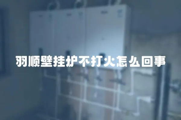 羽順壁掛爐不打火怎么回事