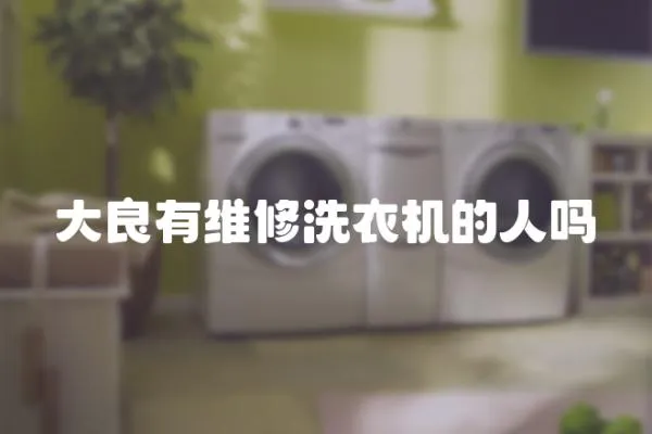 大良有維修洗衣機的人嗎