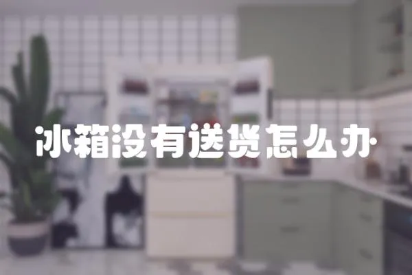 冰箱沒有送貨怎么辦