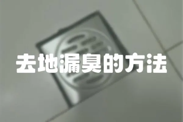 去地漏臭的方法