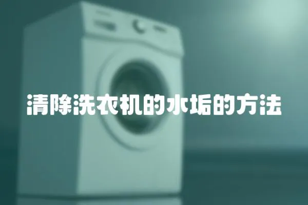 清除洗衣機的水垢的方法