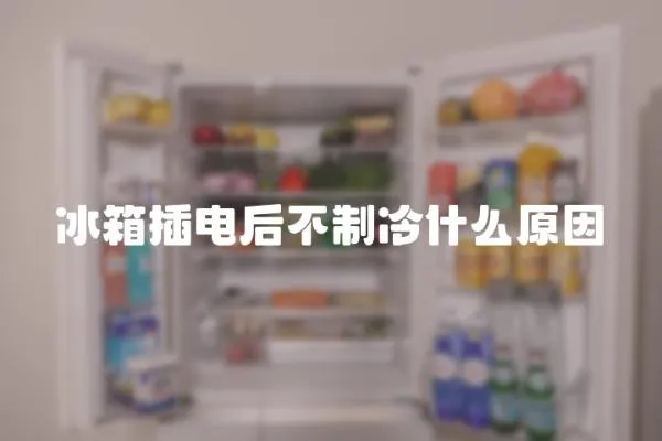 冰箱插電后不制冷什么原因
