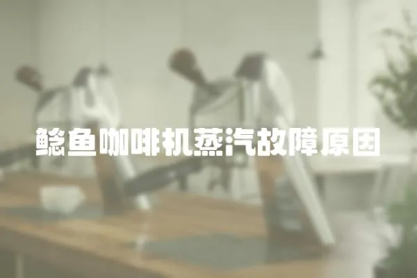 鯰魚咖啡機蒸汽故障原因