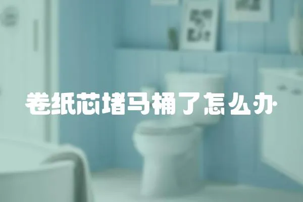 卷紙芯堵馬桶了怎么辦