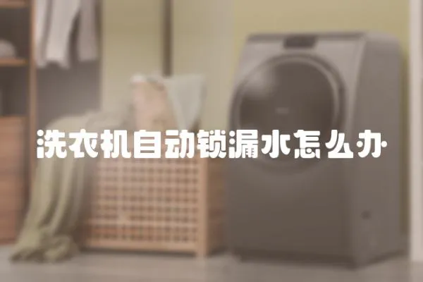 洗衣機自動鎖漏水怎么辦