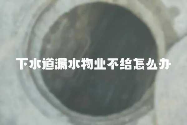 下水道漏水物業不給怎么辦