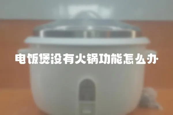 電飯煲沒有火鍋功能怎么辦