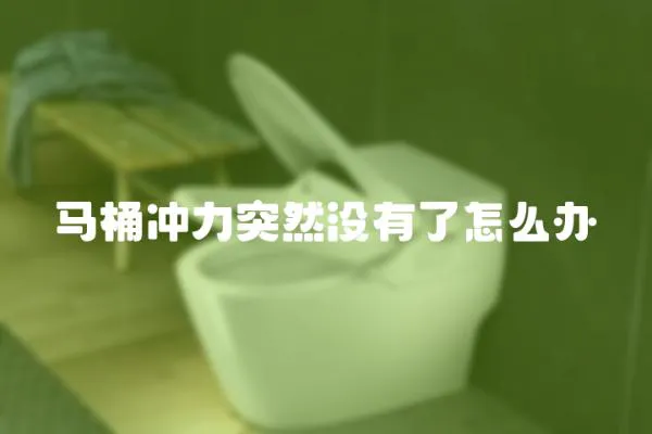 馬桶沖力突然沒有了怎么辦