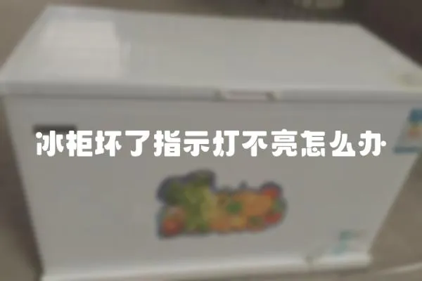 冰柜壞了指示燈不亮怎么辦