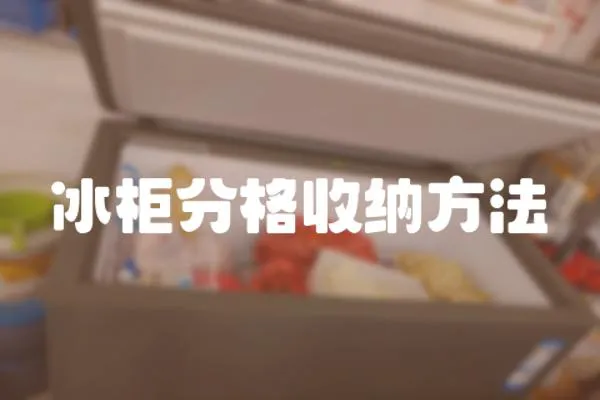 冰柜分格收納方法