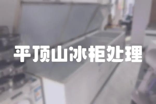 平頂山冰柜處理