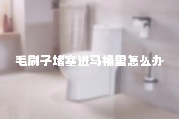 毛刷子堵塞進馬桶里怎么辦