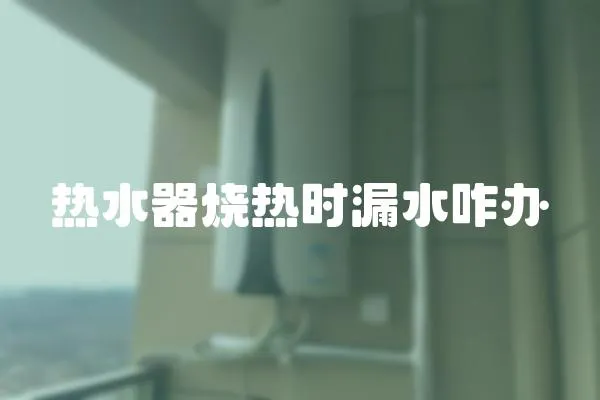 熱水器燒熱時漏水咋辦