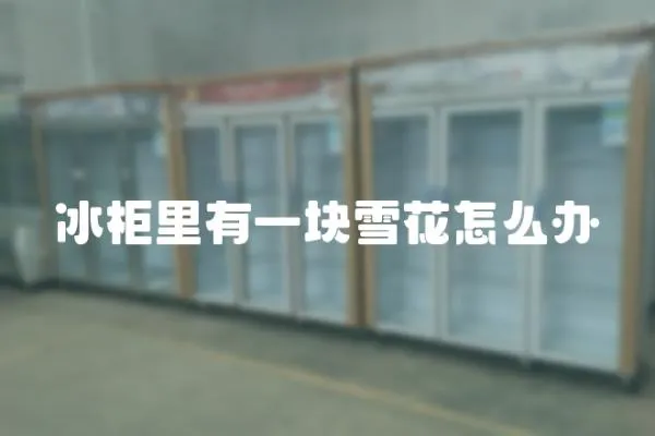 冰柜里有一塊雪花怎么辦