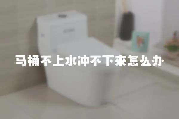 馬桶不上水沖不下來怎么辦