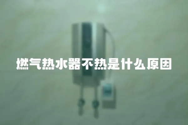 燃氣熱水器不熱是什么原因