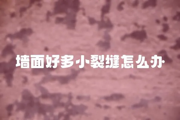 墻面好多小裂縫怎么辦