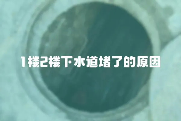 1樓2樓下水道堵了的原因