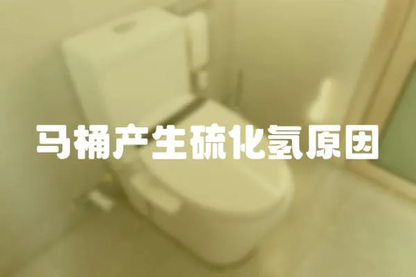 馬桶產生硫化氫原因