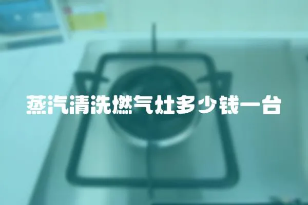 蒸汽清洗燃氣灶多少錢一臺