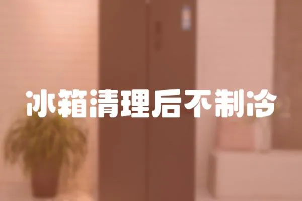 冰箱清理后不制冷