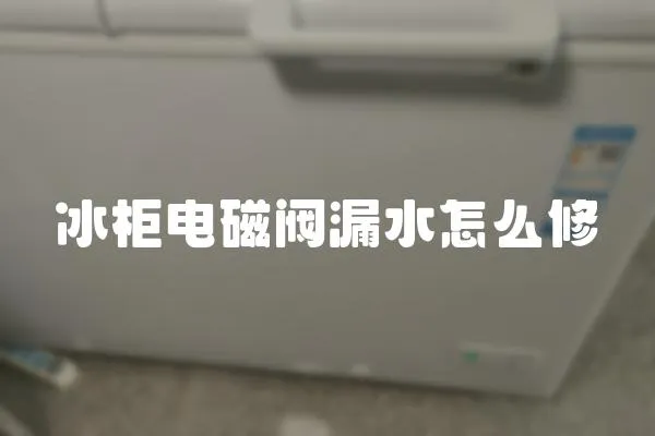 冰柜電磁閥漏水怎么修