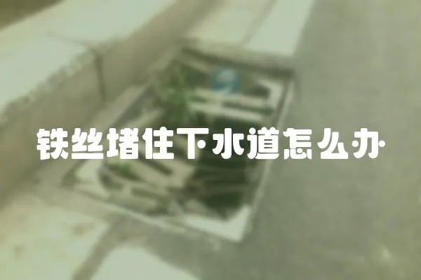 鐵絲堵住下水道怎么辦