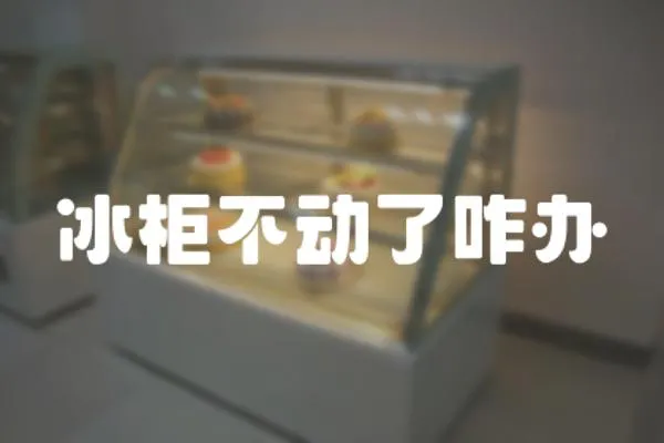 冰柜不動了咋辦