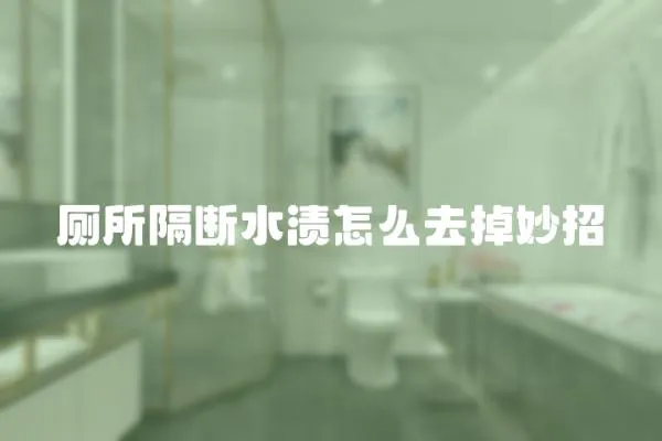 廁所隔斷水漬怎么去掉妙招