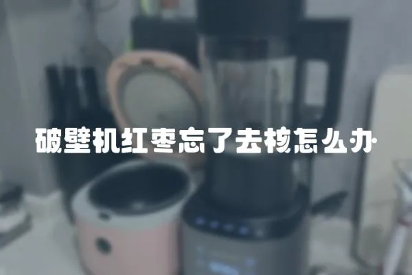 破壁机红枣忘了去核怎么办