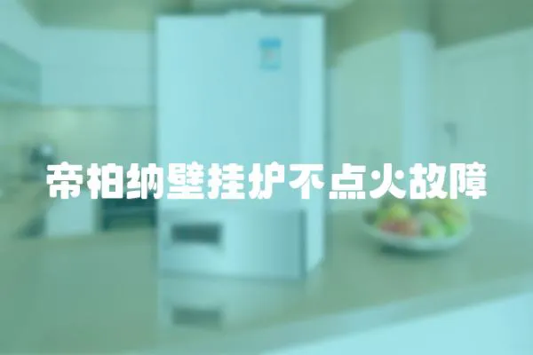 帝柏納壁掛爐不點(diǎn)火故障