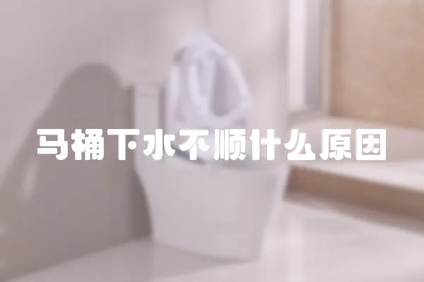 馬桶下水不順什么原因