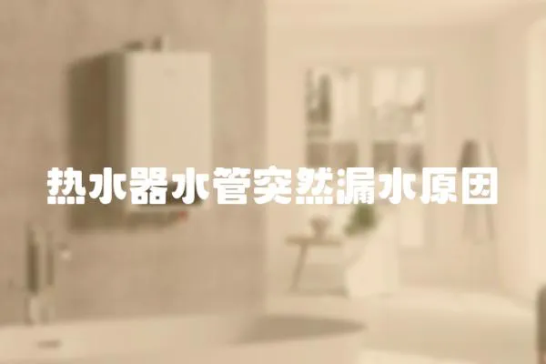 熱水器水管突然漏水原因
