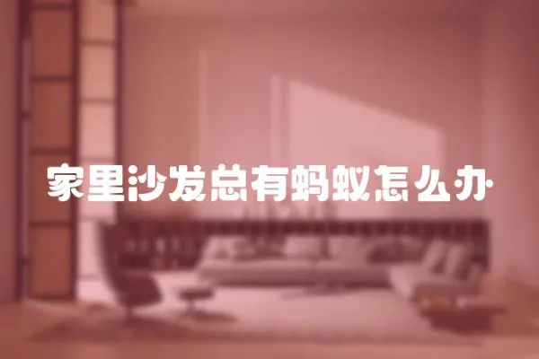 家里沙發總有螞蟻怎么辦