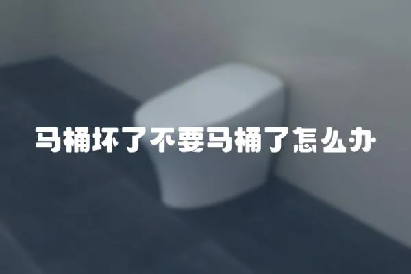 馬桶壞了不要馬桶了怎么辦