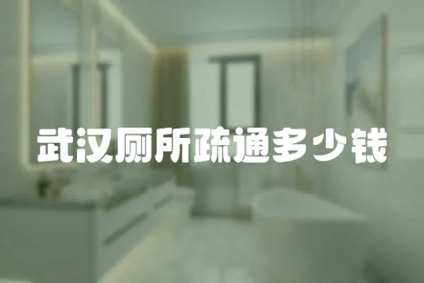 武漢廁所疏通多少錢