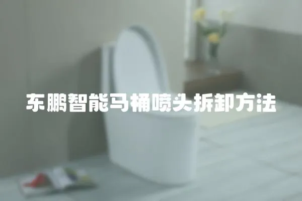 東鵬智能馬桶噴頭拆卸方法