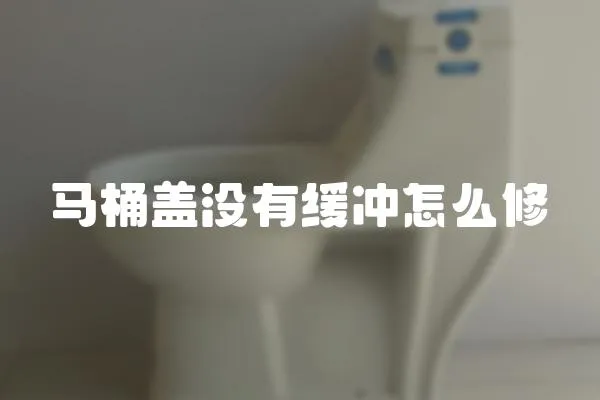 馬桶蓋沒有緩沖怎么修