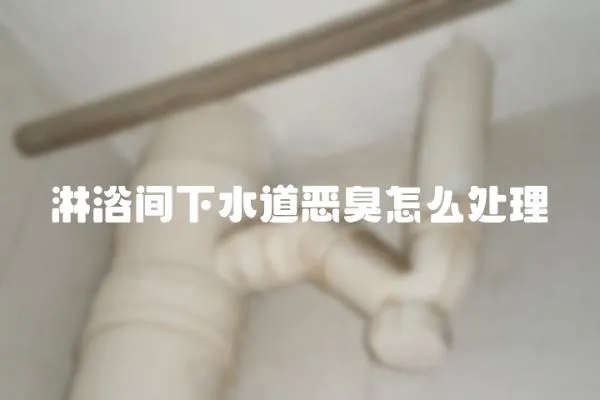 淋浴間下水道惡臭怎么處理