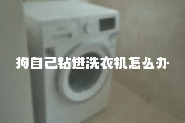 狗自己鉆進(jìn)洗衣機(jī)怎么辦