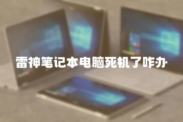 雷神筆記本電腦死機了咋辦