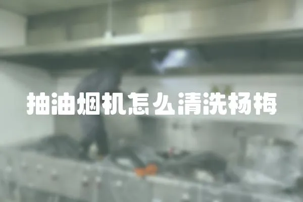 抽油煙機怎么清洗楊梅