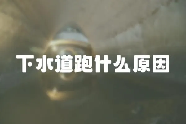 下水道跑什么原因