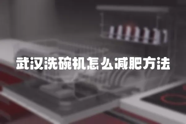 武漢洗碗機怎么減肥方法