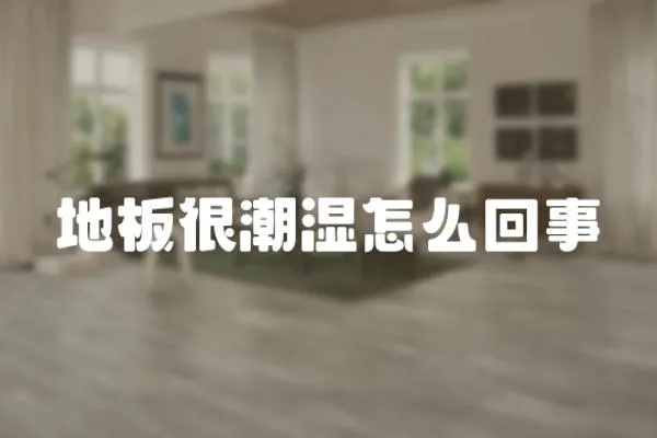 地板很潮濕怎么回事
